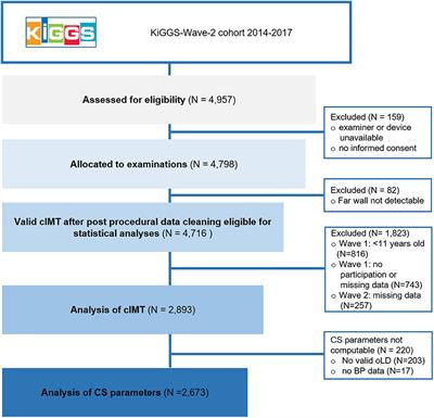 Exercise and Carotid Properties in the Young–The KiGGS-2 Study